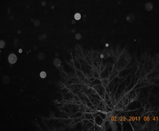 C_Rawls_orbs_02