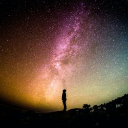 Divine Journeys Unveiled